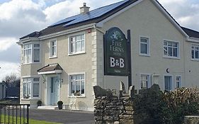 Five Ferns House